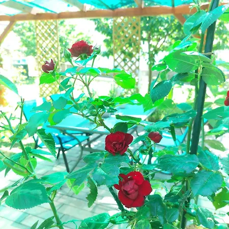 Privat bolig Lana 2 Kastav